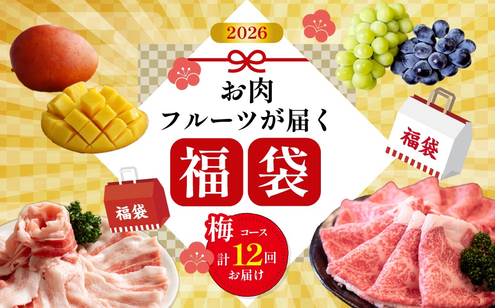 【定期便・全12回】新春おたのしみ 福袋 梅（牛肉 豚肉 鶏肉 果物 フルーツ 限定 2026 定期便 宮崎 小林市）