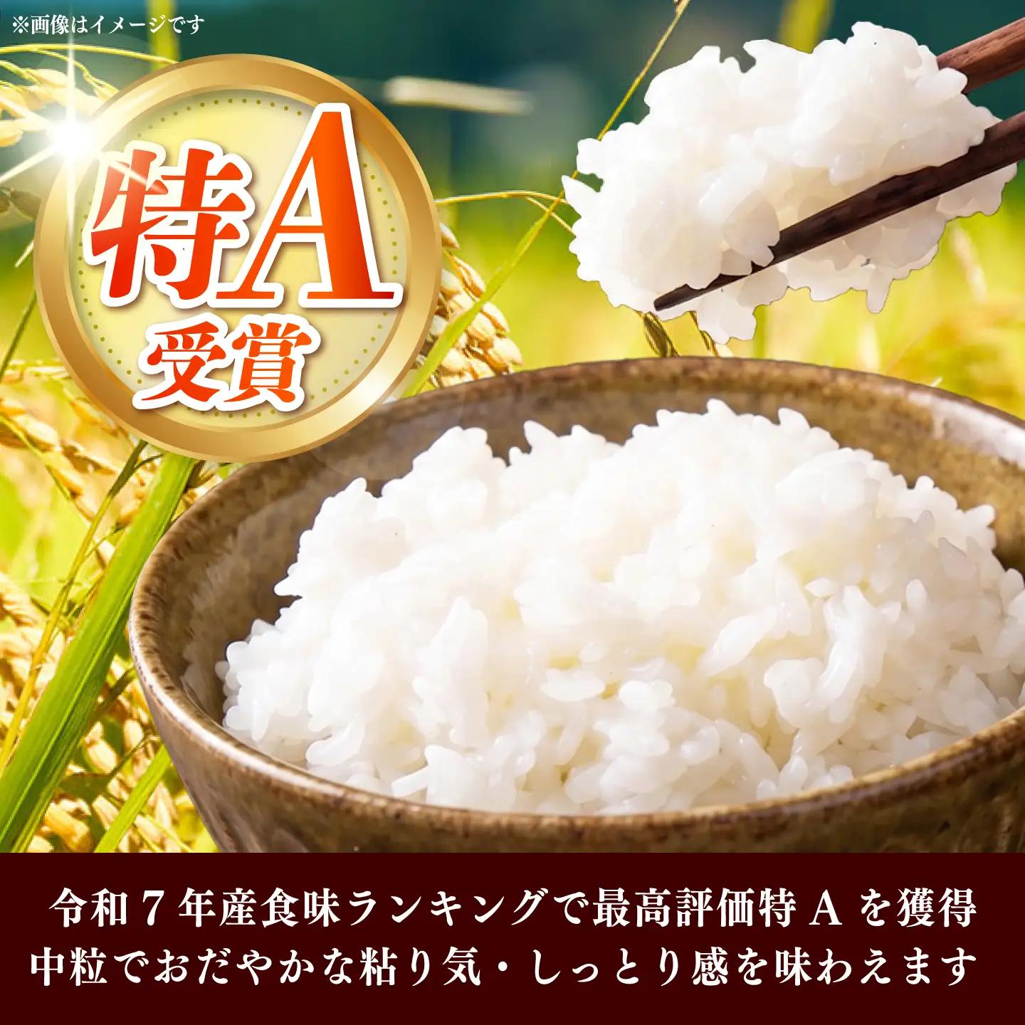 令和7年産　福岡県　元気つくし　15kg（5kg×3袋）《築上町》【カネガエ】[ABFA006]