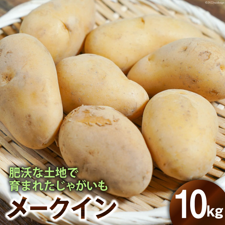 【ふるさと納税】 BG109 【令和8年度出荷分】肥沃な土地で育まれた じゃがいも （メークイン）＜数量限定＞