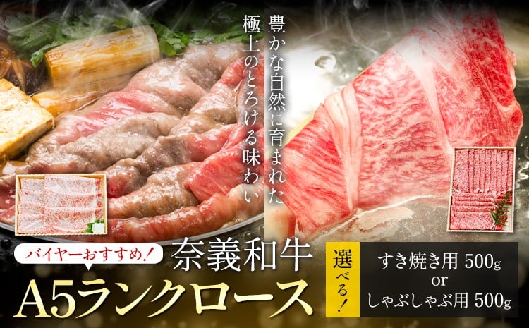 
                  奈義和牛 A5ランクロース バイヤーおすすめ！ 選べる しゃぶしゃぶ用 すき焼き用 500g 株式会社 天満屋《30日以内に出荷予定(土日祝除く)》岡山県 矢掛町 和牛 牛肉 肉 A5ランク しゃぶしゃぶ すき焼き 送料無料
                