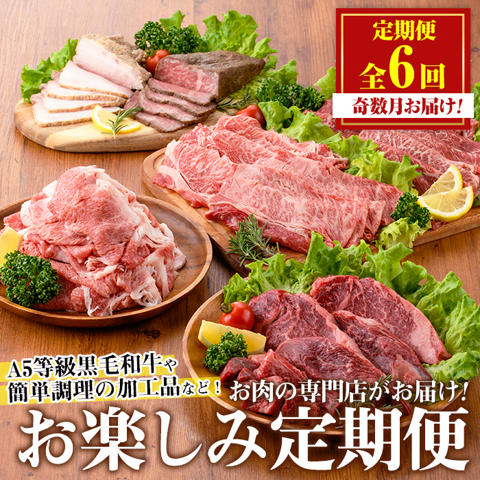 No.1246 ＜定期便・全6回(奇数月)＞お楽しみ！大人気の返礼品定期便 お試しコース(総重量5kg以上・ステーキ、霜降り焼肉、ローストビーフ等) 牛肉 黒毛和牛 定期便 ギフト 贈答【LRプラスK】