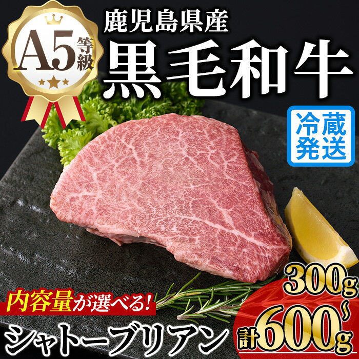 【ふるさと納税】＜内容量が選べる！＞新鮮チルド 希少部位・鹿児島県産A5黒毛和牛“極厚”シャトーブリアン (計300〜600g・300g×1~2枚) 牛肉 鹿児島県産 黒毛 和牛 極厚 冷蔵 チルド シャトーブリアン 希少部位 ヒレ【KNOT】