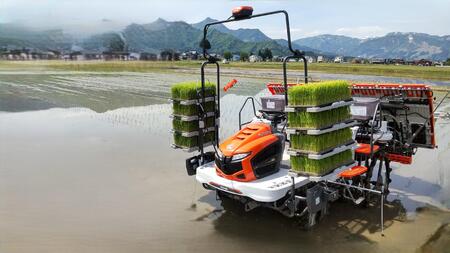 【令和7年新米】新潟県認証特別栽培米魚沼産しおざわコシヒカリ玄米20kg