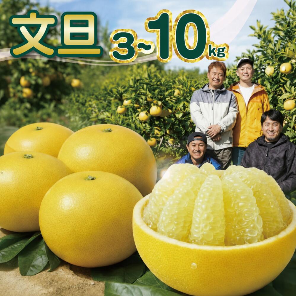 【ふるさと納税】 訳あり 土佐文旦 家庭用 5kg 10kg 小玉 すくも文旦倶楽部 文旦 ぶんたん ブンタン 柑橘 みかん フルーツ 果物 高知県産 特産品 名産 旬 季節 贈り物 ギフト お歳暮 お中元 産地直送 安心安全 自然栽培 農家 美味しい 宿毛市 人気 すくも文旦倶楽部