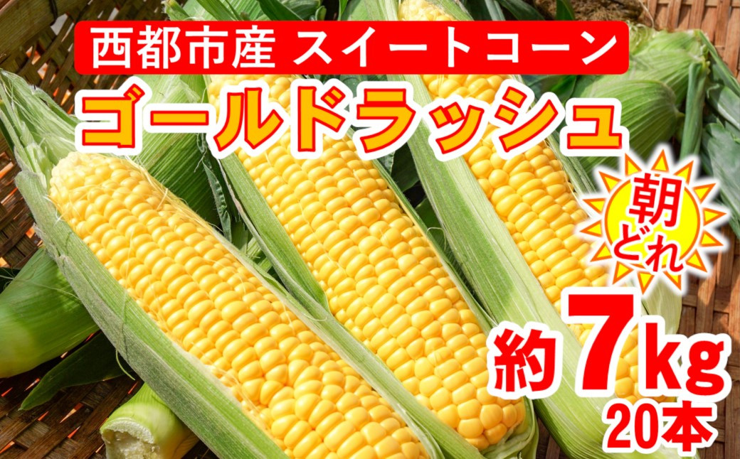 
朝どれ スイートコーン ゴールドラッシュ 約7㎏ 20本 西都市産とうもろこし とうもろこしランキング1位[【先行予約】＜1-9＞
