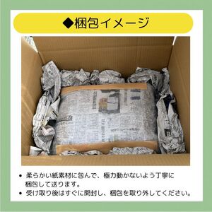 エケベリア オリジナル 交配種 おまかせ 4個 セット