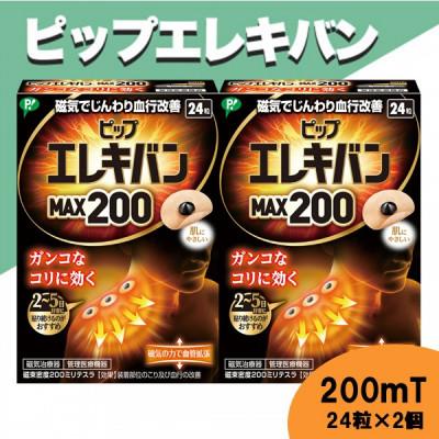 ふるさと納税 天理市 ピップエレキバン　200mT24粒 2個セット