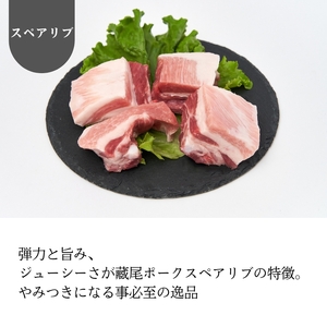 豚肉 ロース スペアリブ 豚トロ 計 700g 藏尾ポーク KO001 