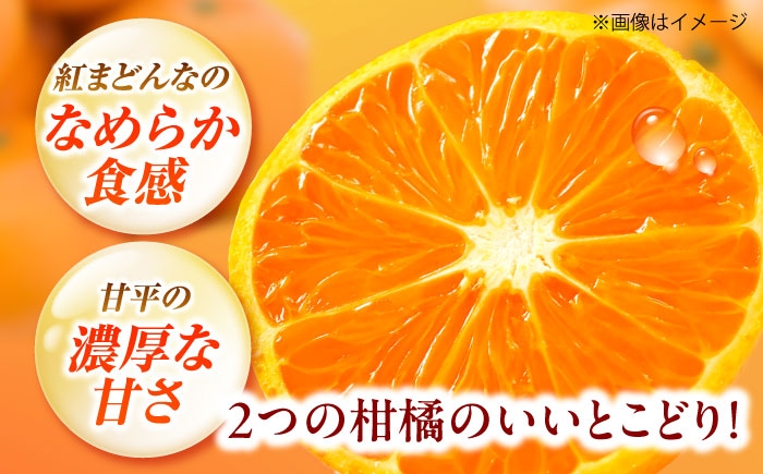柑橘 蜜柑 みかん ミカン みかんジュース 愛果48号 3kg 甘い 愛媛 贈答