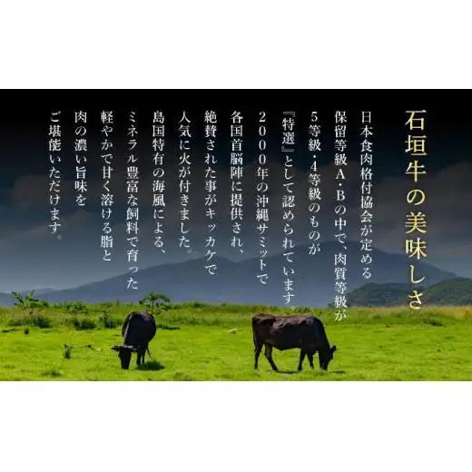 赤身（モモ、ランプ）焼肉用200g×2パック&石垣牛 MARU秘伝の焼肉タレ100ml×1本　 IM-40