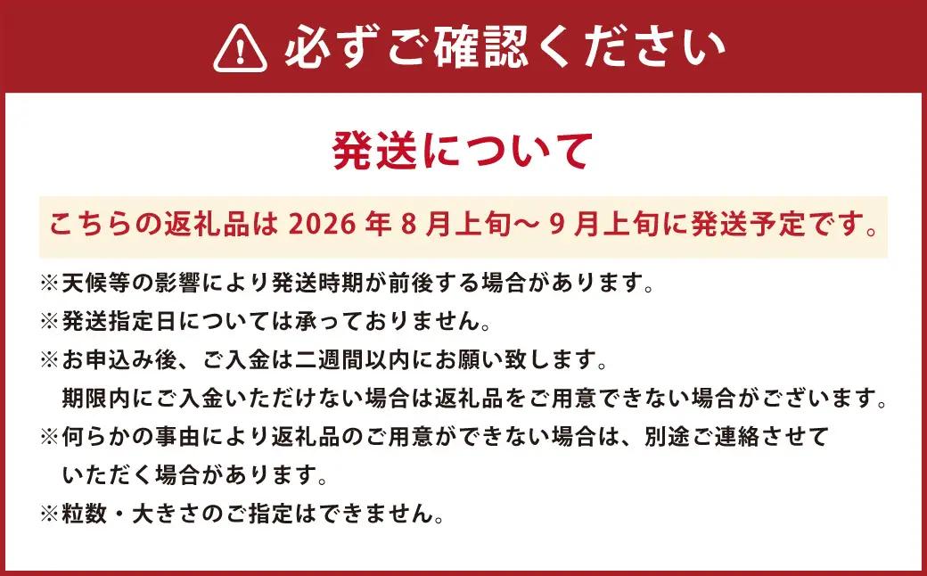 【数量限定】【先行予約】シャインマスカット 約 2kg 果物 くだもの フルーツ マスカット ぶどう ブドウ 葡萄 冷蔵 熊本 熊本市【2026年8月上旬～9月上旬発送予定】