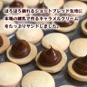 【先行予約】アルファホア 10個 クッキー 焼き菓子 洋菓子 ギフト