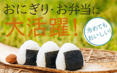 令和6年産 ゆめみづほ 精米 5kg 　011072