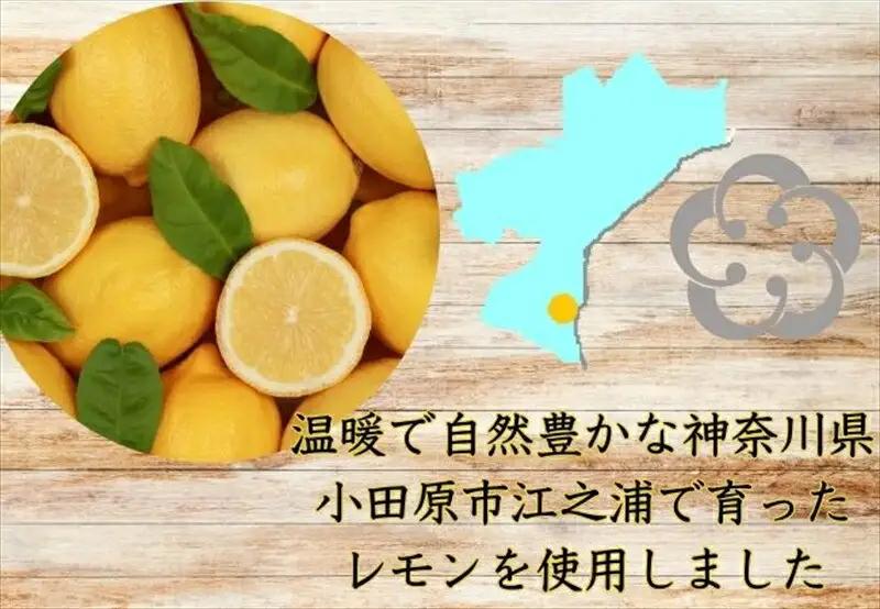 西湘菓子工房樫の樹　江ノ浦れもん10個入りギフト 【 お菓子 スイーツ 神奈川県 小田原市  お菓子】