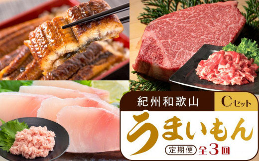 
            【定期便 全3回】紀州和歌山うまいもんセットC（生まぐろ・うなぎ蒲焼・熊野牛）【UT127】
          