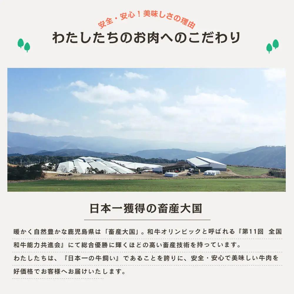 【カミチクブランド】鹿児島県産 上村牛すき焼き・しゃぶしゃぶ用 厳選部位600g（200g×3P） すきやき しゃぶしゃぶ 焼きしゃぶ すき焼き 牛丼 焼き肉 お肉 小分け 冷凍 カミチク