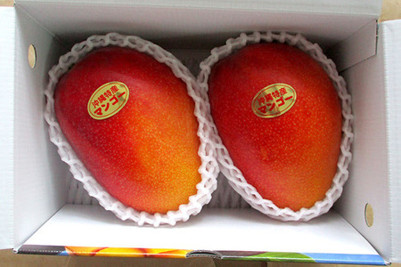 【2024年発送】高安マンゴー園　贈答用　F・Dマースマンゴー糸満　1kg（2～3玉）