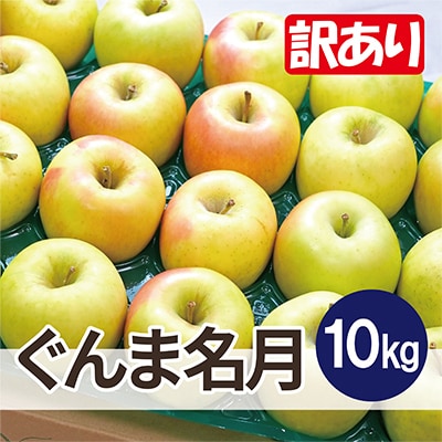 【26年11月から順次発送】青森県産りんご ぐんま名月 約10kg 訳あり 平均糖度13度以上!【配送不可地域：沖縄県】