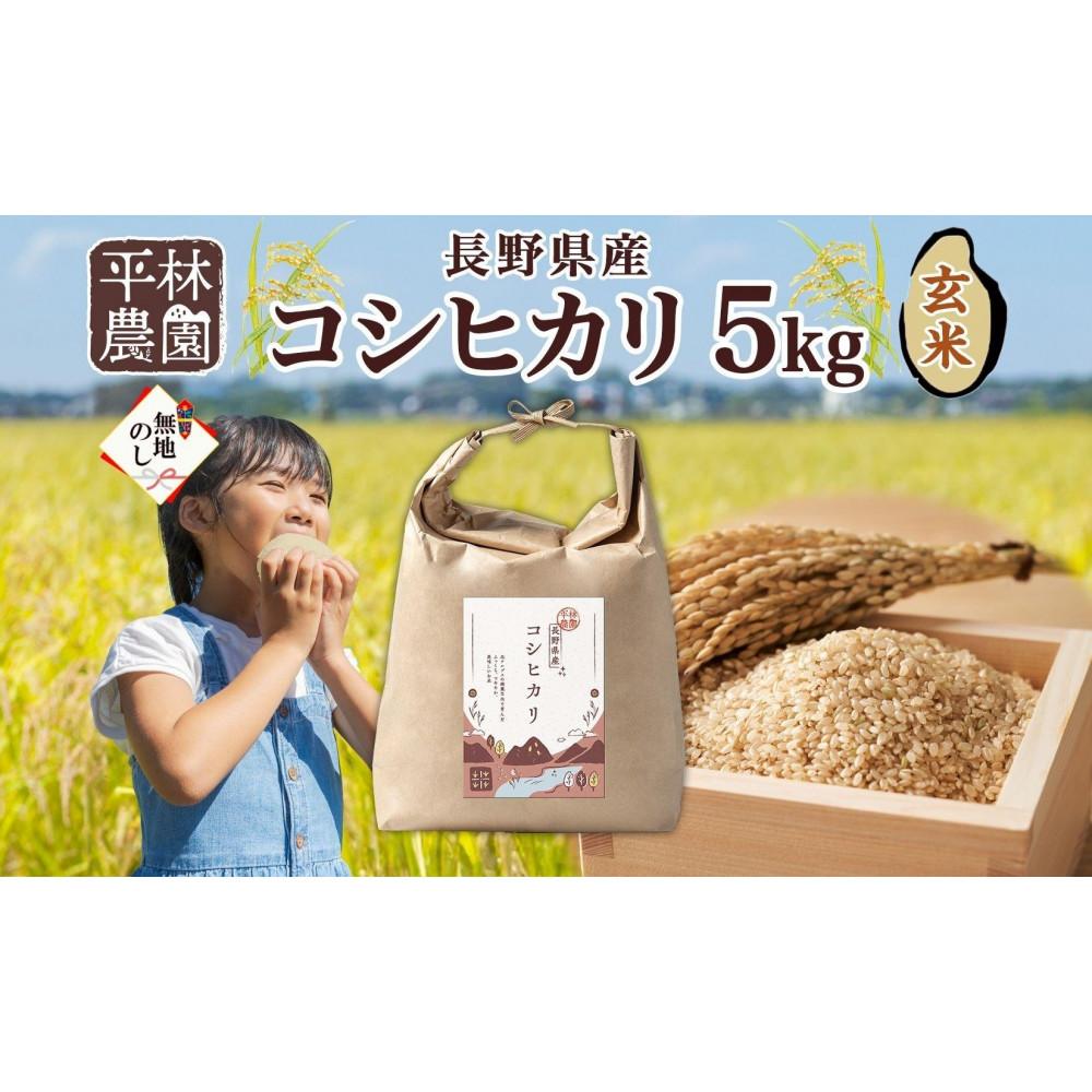 ＜新米予約＞無地熨斗 令和6年産 コシヒカリ 玄米 5kg×1袋 長野県産 米 お米 ごはん ライス 低GI 甘み 農家直送 産直 信州 人気 ギフト 平林農園 熨斗 のし 名入れ不可 送料無料 長野県 大町市