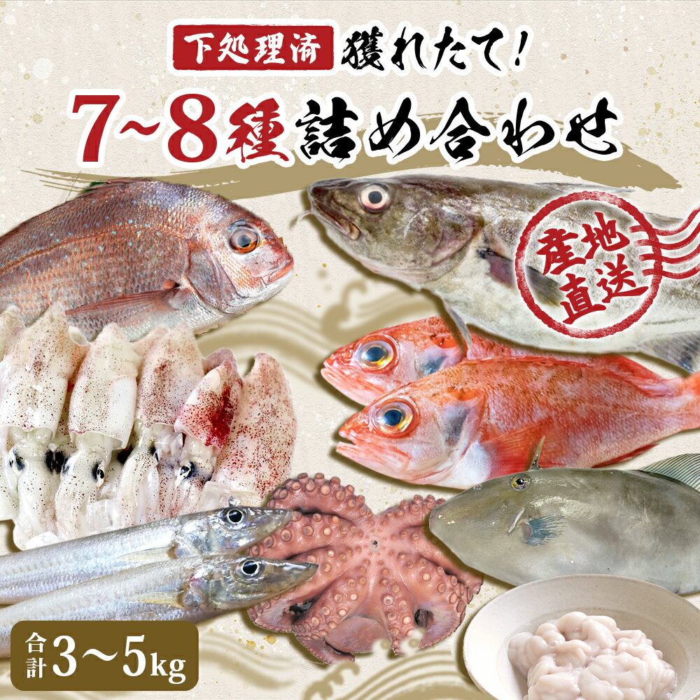 【ふるさと納税】鮮魚 宮城県産 漁師直送! 鮮魚詰め合わせ 3～5kg（7～8種） 下処理済み お楽しみ 鮮魚ボックス 宮城県 石巻市 山神丸 送料無料