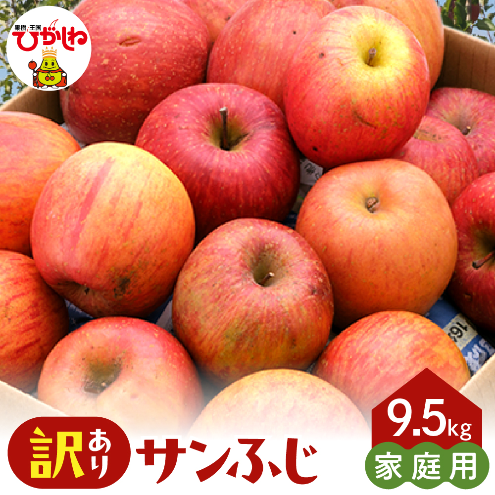 【2026年産】※訳あり※ サンふじ満杯詰(約9.5kg) 山形県 東根市 東根農産センター提供 hi027-204-r8