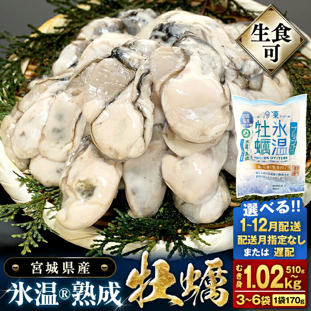 【ふるさと納税】内容量 ・ 配送月 が 選べる 宮城県産 かき むき身 氷温熟成 牡蠣 生食用（冷凍）3袋 6袋（1袋 170g）生食 むき カキ 冷凍牡蠣 牡蠣むき身 殻なし 510g 1.02kg 小分け 冷凍 バラバラ冷凍 宮城県 石巻市 宮城 石巻 まるたか水産