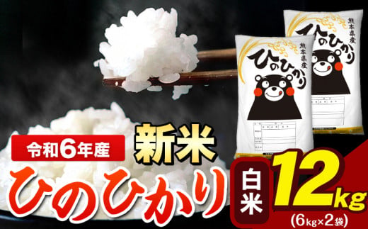 令和6年産 新米 早期先行予約受付中 ひのひかり 白米 12kg 《11月-12月より出荷予定》 6kg×2袋 熊本県産（荒尾市産含む） 米 精米 ひの