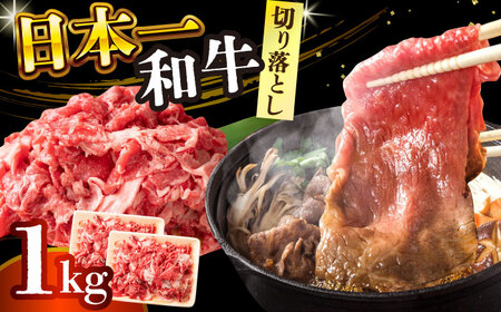 【切り落とし】 A4-A5 長崎和牛 切り落とし (500g×2）【株式会社 MEATPLUS】 切り落とし 和牛切り落とし 切り落とし 切り落し 長崎和牛 小分け [DBS006]