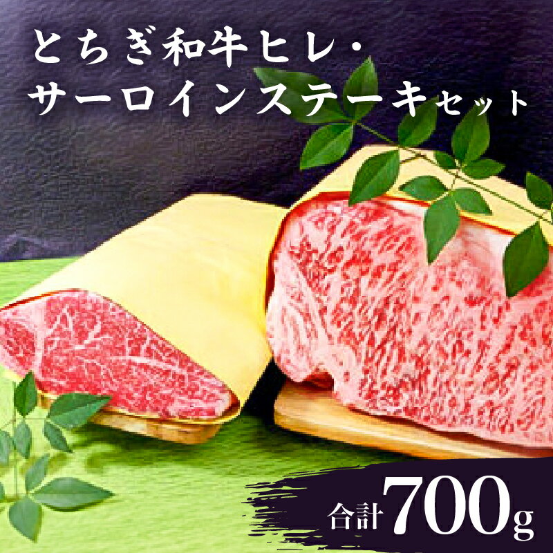 【ふるさと納税】 とちぎ和牛 ヒレ サーロインステーキ セット 栃木県 那須塩原市 牛肉 お肉 とちぎ和牛 ヒレ肉 サーロイン 国産 冷凍 和牛 ブランド牛 赤身肉 お取り寄せ グルメ 送料無料