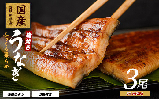 【鹿児島県産】うなぎ蒲焼じっくり焼き約125g×3尾 化粧箱入り(大新/016-1900) 鰻 ウナギ 蒲焼 国産 丑の日 うな重 無頭 ギフト プレゼント 贈り物 贈答 惣菜 総菜 小分け レンジ 簡単 蒲焼き 冷凍 鹿児島県産