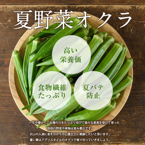 【2026年5月下旬～発送】新鮮オクラ1kg×3袋(アグリスタイル/IB066-005) 野菜 夏野菜 夏 旬 フレッシュ ベジタブル いぶすき 鹿児島