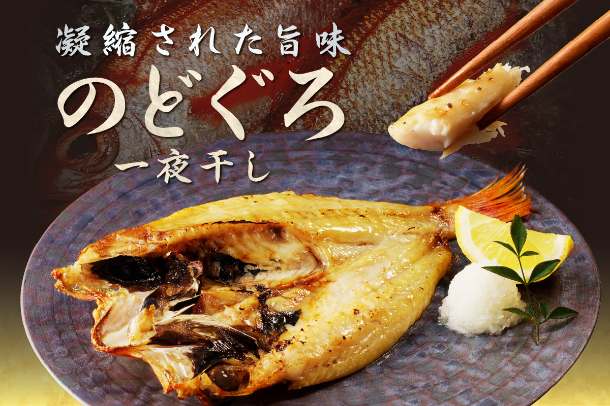 山陰浜田港 水揚げされた大きめ人気干物セット 魚介類 魚貝類 魚介 魚 干物 干もの 一夜干し 干物セット セット 加工品 【424】