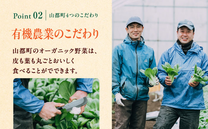 【全6回隔週定期便】有機野菜 8種セット 詰め合わせ 熊本県産 山都町産 産地直送 オーガニック【株式会社 肥後やまと】[YAF011] 52000 52,000 52000円 52,000円