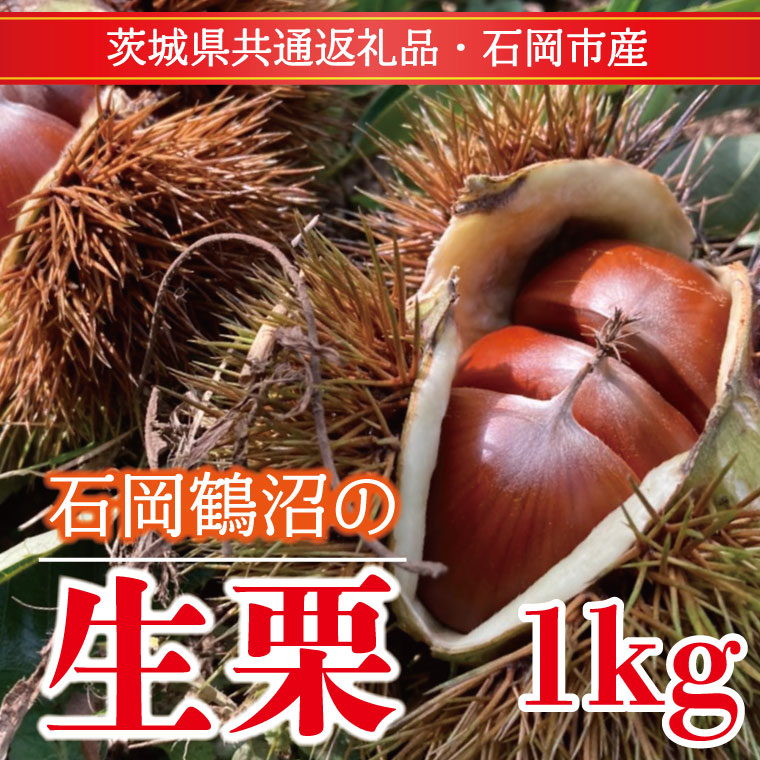 【ふるさと納税】【先行予約】【2026年9月中旬より順次発送】石岡鶴沼の生栗 1kg（茨城県共通返礼品・石岡市産）｜茨城県 行方市 栗 生栗 秋 旬 無農薬(ER-1-1)