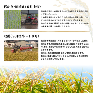 3ヵ月 定期便 令和6年度産 岡山県産 きぬむすめ 玄米 10kg 米 お米 コメ おこめ 3回 岡山