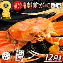 【ふるさと納税】【訳あり】≪浜茹で≫指折れ 越前がに（大） × 1杯 食べ方しおり かにスプーン付き【雄 ズワイガニ ずわいがに 越前ガニ 姿 ボイル 冷蔵 福井県】【12月発送分】希望日指定可 備考欄に希望日をご記入ください [e15-x005_12]