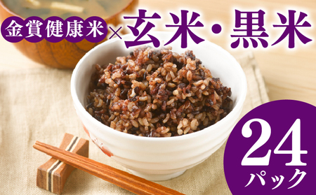 【 ご飯パック 】 金賞 健康米 玄米・黒米 120g×24個入り ご飯パック