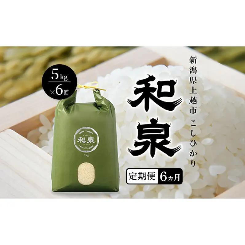 先行予約 新米 定期便6ヶ月配送 令和8年 新潟県 上越産 こしひかり 5kg 5キロ×6回 和泉 ワイズファーム 上越市 精米 米 ギフト 喜ばれる コシヒカリ