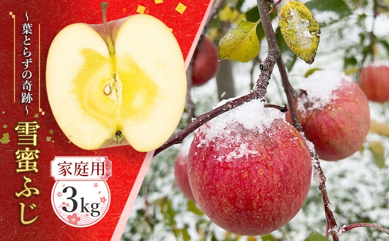 
                  蜜入り14度糖度保障【家庭用】雪蜜ふじ～葉とらずの奇跡～約3kg【青森りんご・マルコウアップル】果物類 フルーツ 林檎 リンゴ 板柳町 青森県 おやつ デザート
                