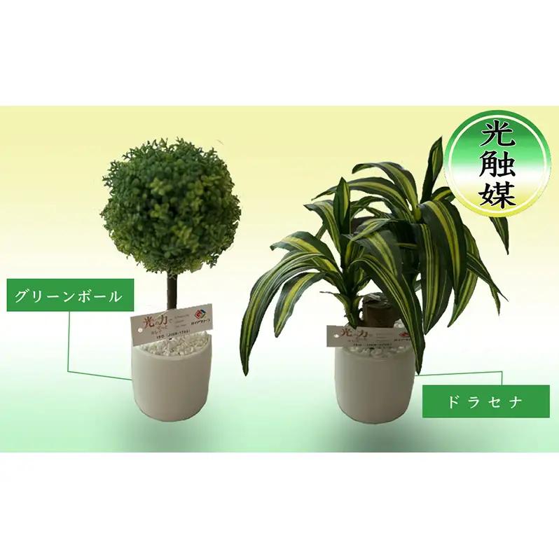 光触媒 約25cm ×2 造花 セット 北海道 光触媒