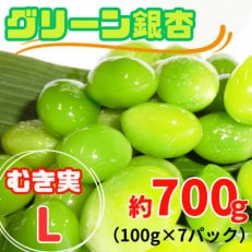 【先行受付】グリーン銀杏 (ぎんなん) 約700g(むき実・L)