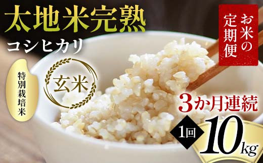 お米の定期便 特別栽培米 太地米完熟 【こしひかり】 玄米10kg×3か月連続 ブランド米 お米 人気 F7X-0392