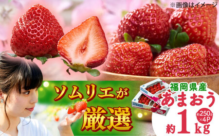 【2025年12月上旬より順次発送】福岡産 冬あまおう4P [BGAG027]あまおういちご