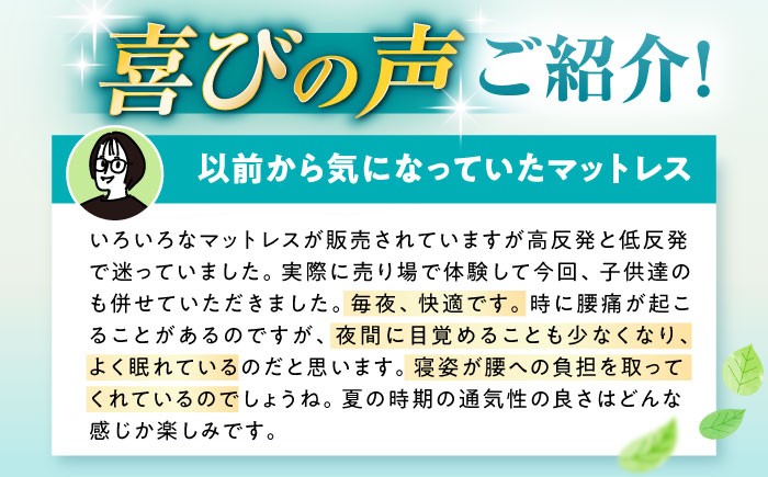 エアウィーブ マットレス マットレスパッド 敷きパッド エアリーブ エアリーヴ エアウィーブ マットレス 寝具 快眠 睡眠