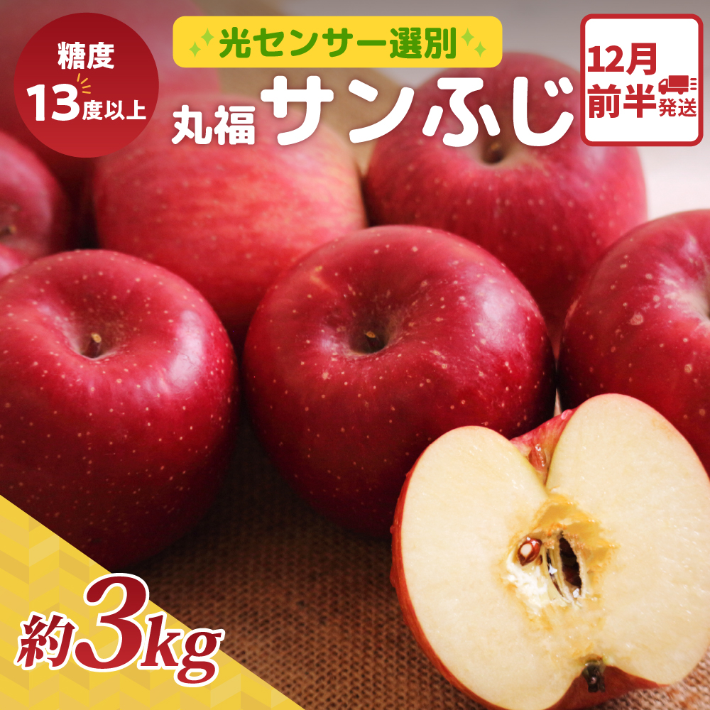 りんご 12月前半発送サンふじ 約 3kg 丸福 光センサー 選果 糖度13度以上 青森 リンゴ サンふじりんご 先行予約