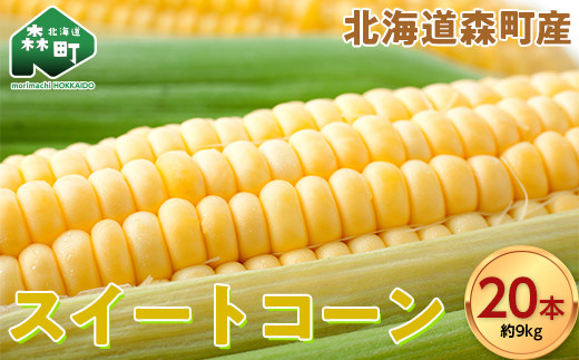 【先行予約】スイートコーンイエロー Lサイズ 20本 北海道森町産 （令和7年7月下旬から順次発送予定） <こうのファーム> とうもろこし トウモロコシ とうきび トウキビ 唐黍 mr1-0472