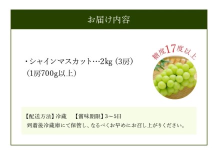 【先行予約】シャインマスカット2kg（3房）【700g以上】【糖度17度以上】_M64-0034 ｜ シャインマスカット ぶどう シャインマスカット ぶどう シャインマスカット ぶどう シャインマスカ