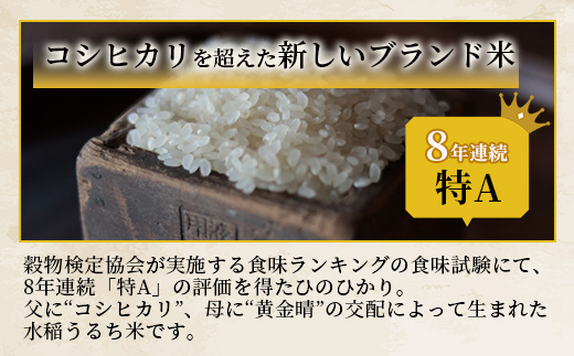 人吉球磨のお米「ひのひかり」無洗米10kg  精米 お米 ご飯 熊本県 ヒノヒカリ お米 精米 こめ コメ 国産 ブランド米 053-0510