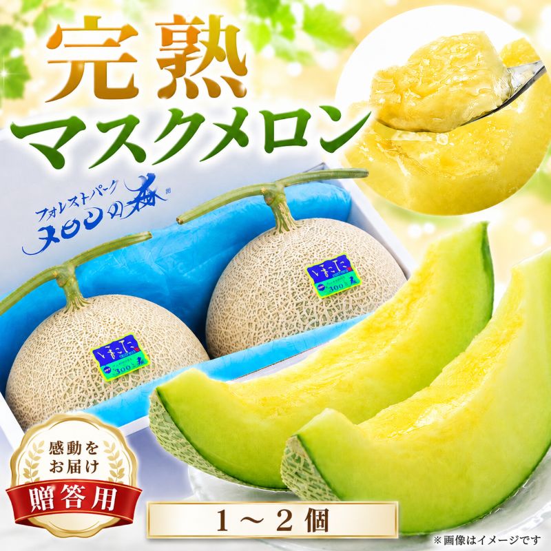 【ふるさと納税】 贈答 高級 メロン ＼大玉／ アールスメロン 1個 2個 約1.5kg〜6kg 定期便 ｜選べる発送回数 高級 めろん マスクメロン 甜瓜 おすすめ 人気 国産 青肉 産地直送 茨城 鉾田 フルーツ 旬 プレゼント 贈り物 おいしい 旬 定番 果物 メロンの森 フォレストパーク