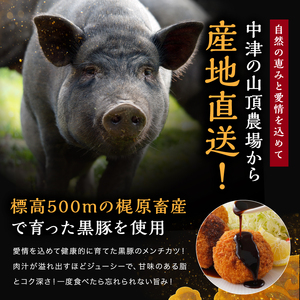 冷凍 メンチカツ レンチン8個入り ( 2パック ) | お肉 肉 豚肉 黒豚 お惣菜 惣菜 おかず レンチン レンジ 簡単調理 国産 九州産 大分県産 大分県 中津市